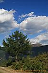 IMG_0686